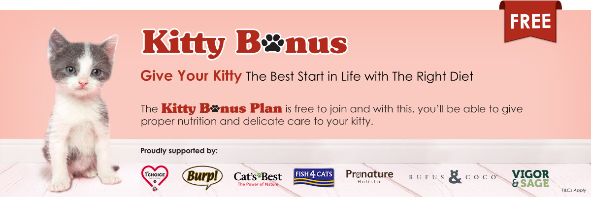 Kitty Bonus Plan